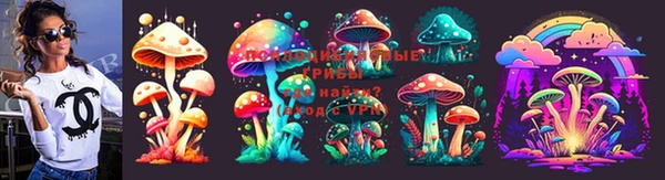 стаф Кукмор