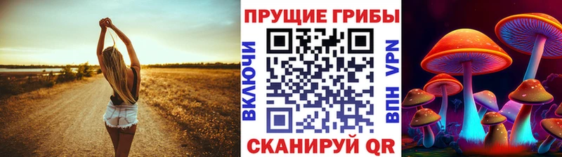 Купить где  Трёхгорный  Псилоцибиновые грибы прущие грибы 